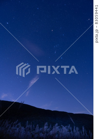 秋の夜に見るオリオン座冬の大三角 秋の夜に見るオリオン座冬の大三角 83059441