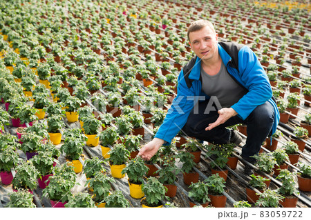 Male supervising growth of tomato seedlings 83059722
