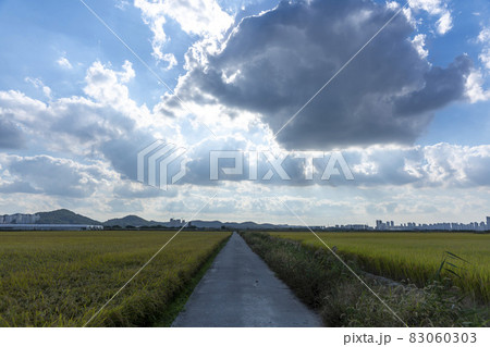 自然 風景 韓国 83060303