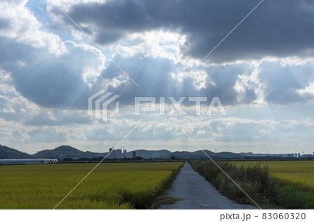 自然 風景 韓国 83060320
