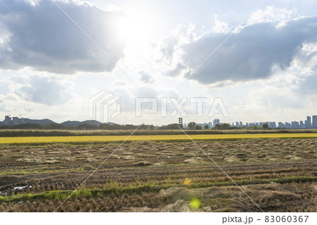 自然 風景 韓国 83060367