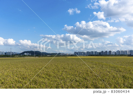 自然 風景 韓国 83060434