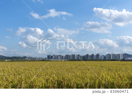 自然 風景 韓国 83060471