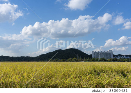 自然 風景 韓国 83060481
