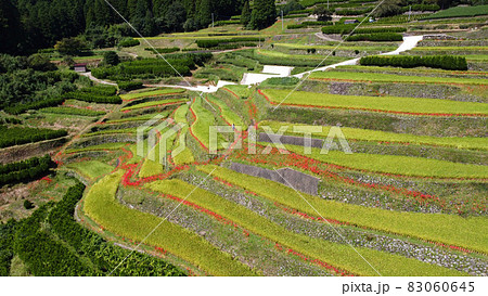 鹿里の棚田のドローン空撮 83060645
