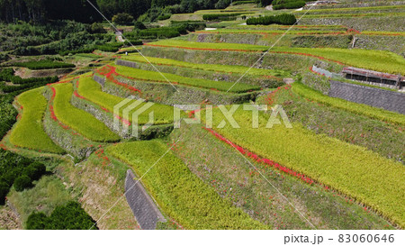 鹿里の棚田のドローン空撮 83060646