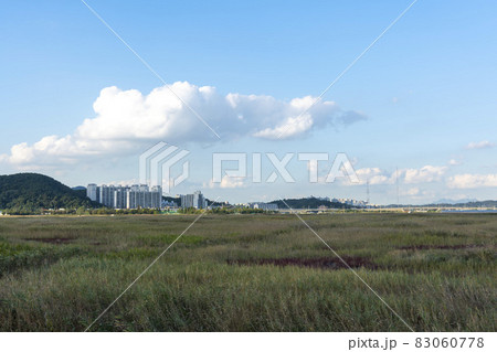 自然 風景 韓国 83060778