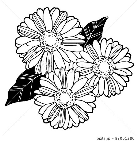 Illustration Of Gerbera Stock Illustration