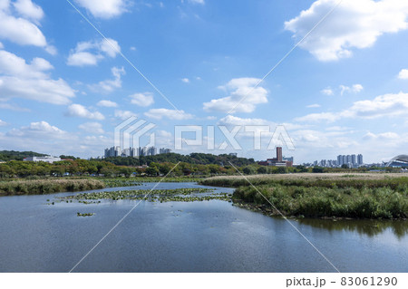屋外 室外 自然 83061290