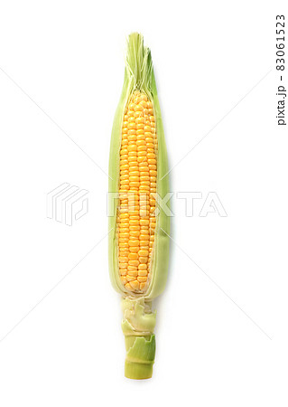 とうもろこし 83061523