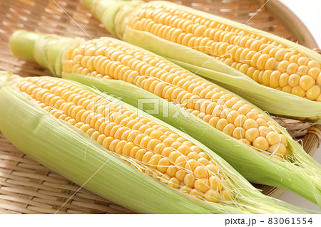 とうもろこし 83061554