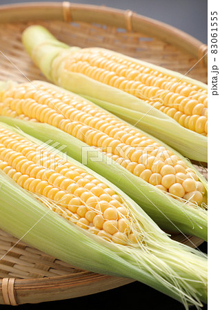 とうもろこし とうもろこし 83061555