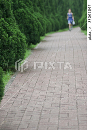a Runner man athlete jogging in city run on park path a Runner man athlete jogging in city run on park path 83061647
