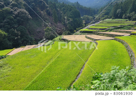 竹地区の棚田 竹地区の棚田 83061930