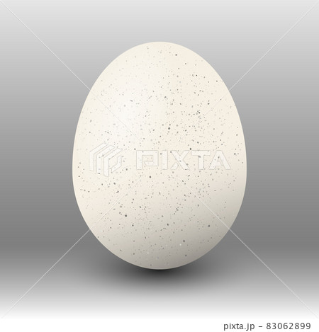 White realistic egg over dark background. Vector EPS10 illustration. White realistic egg over dark background. Vector EPS10 illustration. 83062899