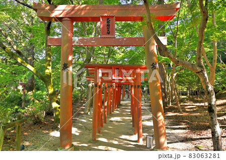 宝満宮竈門神社「末社・式部稲荷社」 83063281