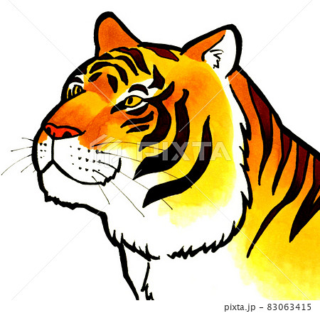 手描きの虎のイラスト素材 単品 かっこいい斜め横向きの顔 年賀状にもオススメのイラスト素材