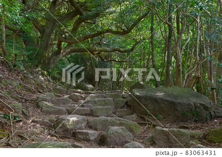 宝満山登山「正面登山道」 83063431
