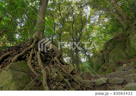 宝満山登山「正面登山道」 宝満山登山「正面登山道」 83063432