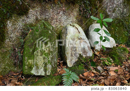 宝満山登山「羅漢」 宝満山登山「羅漢」 83063840