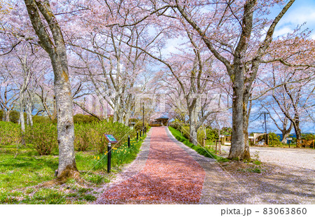 船岡城址公園 船岡平和観音への道(宮城県柴田町) 船岡城址公園 船岡平和観音への道(宮城県柴田町) 83063860