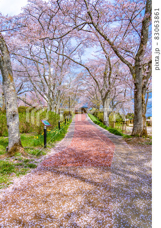 船岡城址公園 船岡平和観音への道(宮城県柴田町) 船岡城址公園 船岡平和観音への道(宮城県柴田町) 83063861