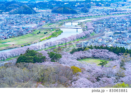 船岡城址公園山頂から望む桜と白石川(宮城県柴田町) 船岡城址公園山頂から望む桜と白石川(宮城県柴田町) 83063881