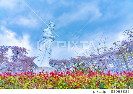 船岡城址公園の平和観音と桜(宮城県柴田町) 船岡城址公園の平和観音と桜(宮城県柴田町) 83063882
