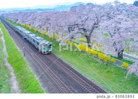一目千本桜を行く東北本線（宮城県柴田町） 83063893