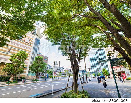 川崎市 武蔵小杉駅前 川崎市 武蔵小杉駅前 83064003