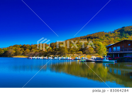 蓼科・女神湖　湖畔の紅葉　日本 83064284