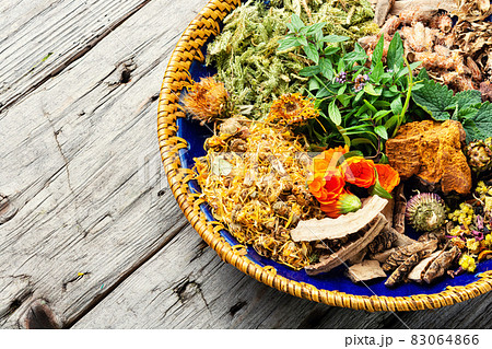 Medicinal plants in medicine 83064866