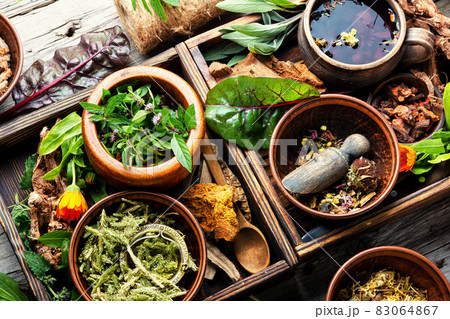 Healing herbs,herbal medicine Healing herbs,herbal medicine 83064867