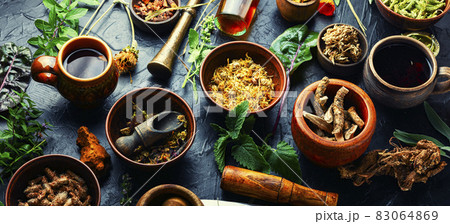 Various kinds of medicinal plants Various kinds of medicinal plants 83064869