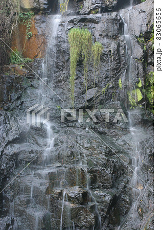 a Beautiful Waterfall at the peak, hong kong 83065656