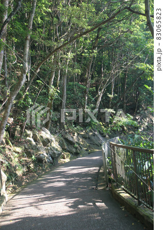 Lugard Road in the daytime at Victoria Peak, Hong Kong. 16 July 2005 83065823