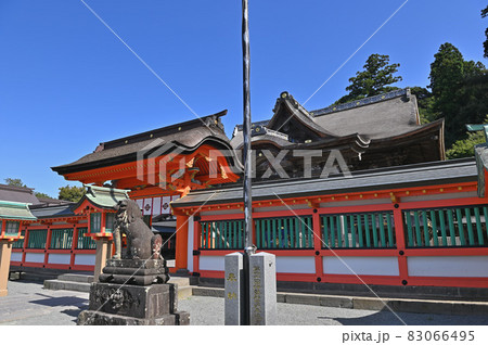 高良大社・社殿 83066495