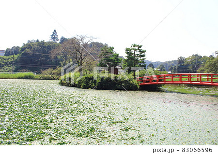 東松山鳴かずの池 83066596