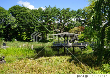 秋の遠野　たかむろ水公園 83067647