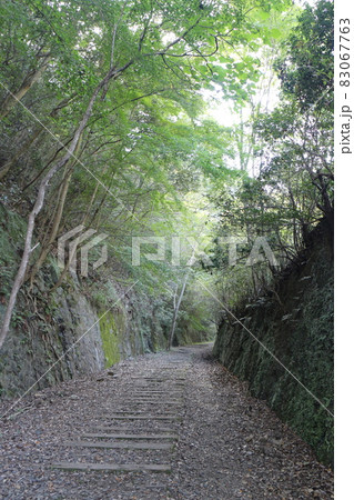 秋の日のJR福知山線廃線敷のハイキング 83067763