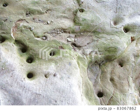 広瀬川の長い年月の間に穴の空いた岩 83067862