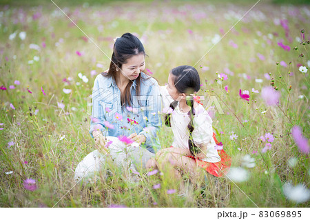 コスモス畑で遊ぶ親子 83069895