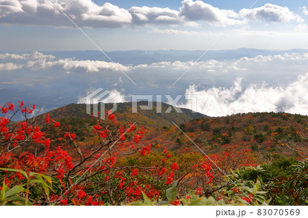 福島県二本松市奥岳温泉　登山道からの安達太良山の紅葉と雲海 83070569