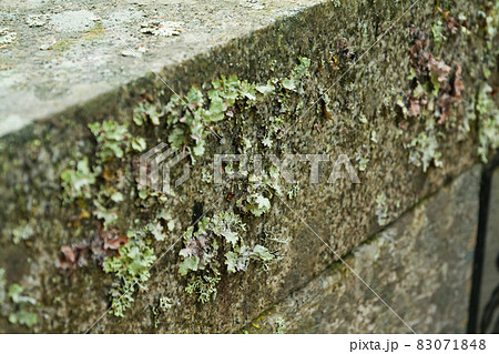 Gravestone at old semetery in Finland with grave crosses and stones. 83071848