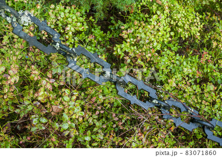 Chain at old beautiful semetery in Finland. Chain at old beautiful semetery in Finland. 83071860