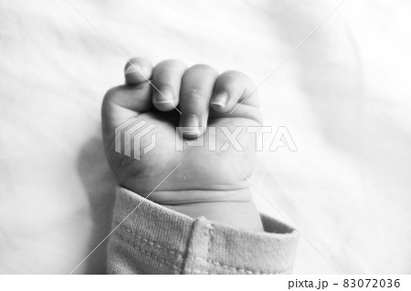 赤ちゃんの手　白黒 83072036