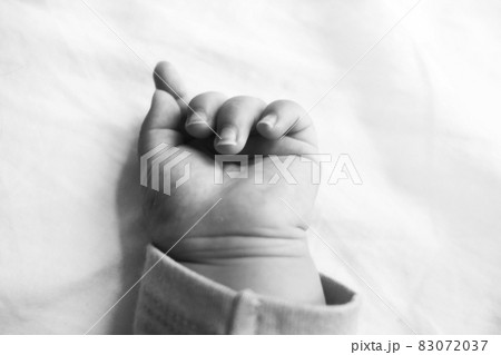 赤ちゃんの手　白黒 83072037
