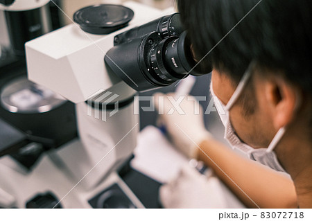 顕微鏡で細胞を確認する大学院生 83072718