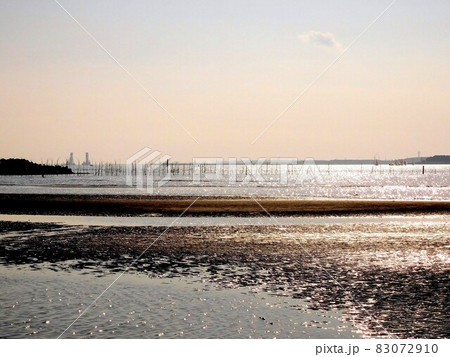 葛西海浜公園　干潟 83072910