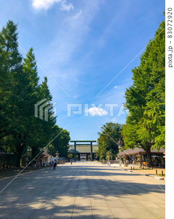 東京九段・靖国神社 東京九段・靖国神社 83072920